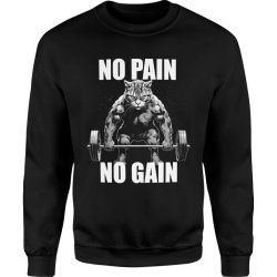  Bluza męska Na siłownie No Pain No Gain