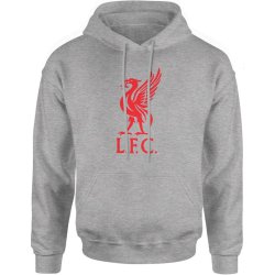  Bluza męska z kapturem Liverpool F.C. piłkarska szara