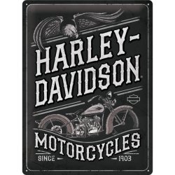  Metalowy Plakat 30x40cm Harley Davidson Eagle