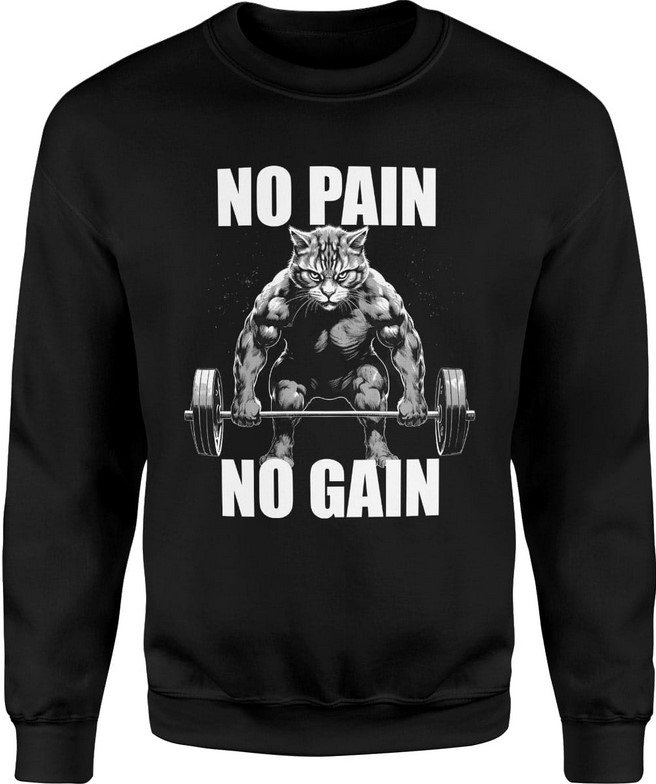 Bluza męska Na siłownie No Pain No Gain
