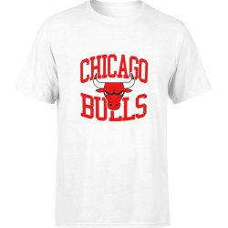  Koszulka męska Chicago Bulls NBA koszykówka biała