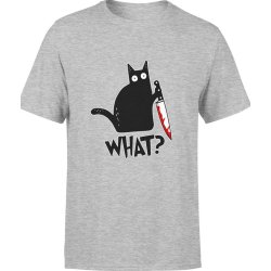  Koszulka męska Kot z kotem what? szara
