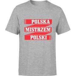  Koszulka męska Polska mistrzem Polski euro 2024 szara