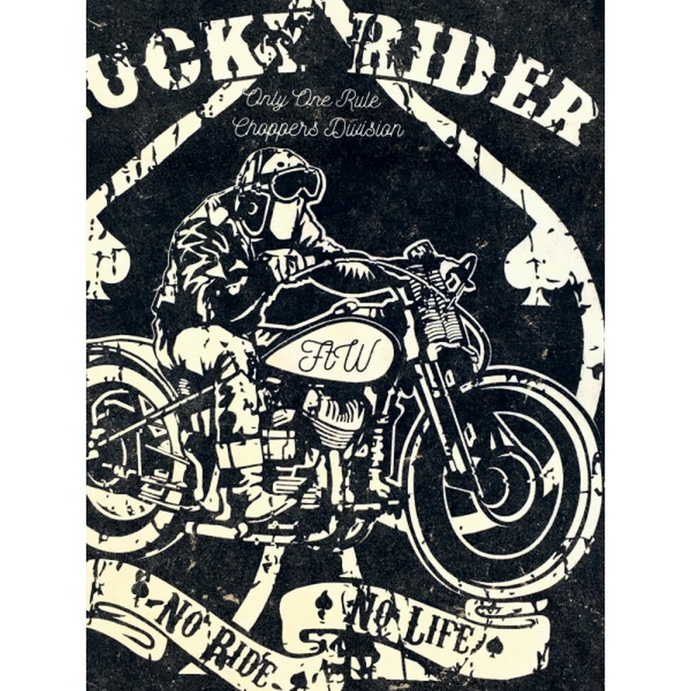 Koszulka męska trawiona Lucky Rider