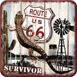  Metalowa podkładka Route 66 Desert Survivor