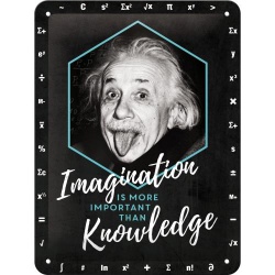  Metalowy Plakat 15 x 20cm Einstein Imagination