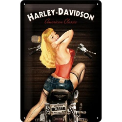  Metalowy Plakat 20 x 30cm Harley Davidson