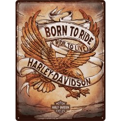   Plakat 30x40 Harley Davidson Born