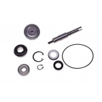 Pompa wody Honda SH Chiocciola 125/150