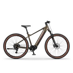  Rower elektryczny Ecobike SX300 Green 29