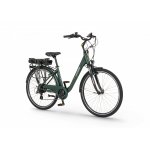 Rower elektryczny Ecobike Traffic Green 28/17" 36V 540W