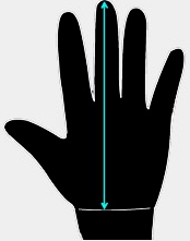 jak dobrać rękawice FOX